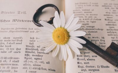 Non solo traduzioni…